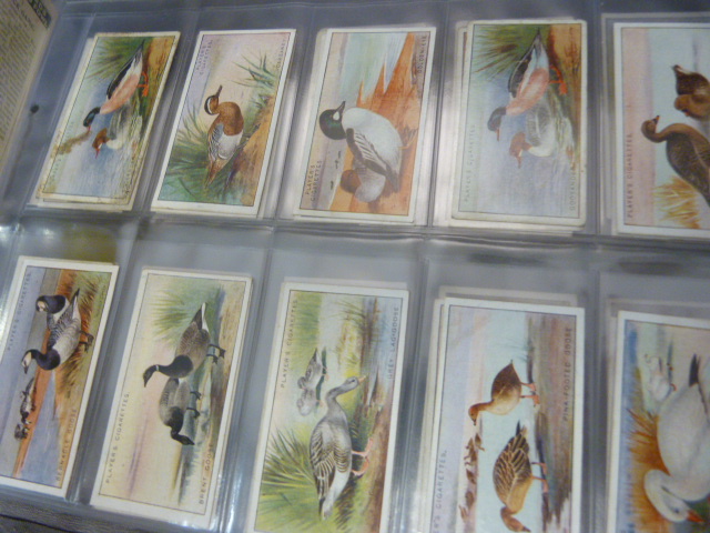 Mixed lot of Cigarette cards to include - Player's Game Birds and Wild Fowl, Churchman's Boxing - Image 15 of 18