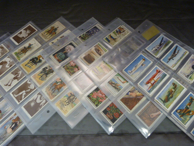 Mixed lot of Cigarette cards to include - Player's Game Birds and Wild Fowl, Churchman's Boxing