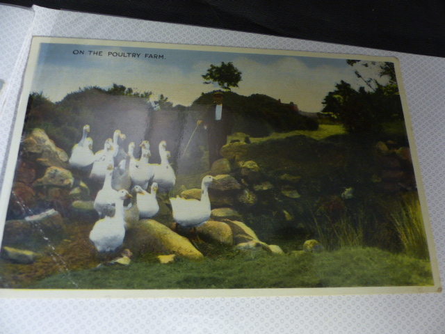 Small collection of Vintage Irish postcards - Image 29 of 44