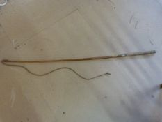 Antique cane cart whip