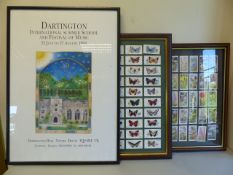 Two Framed set of Cigarette cards - Will's Cigarettes Wild Flowers and Player's Cigarettes '