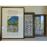 Two Framed set of Cigarette cards - Will's Cigarettes Wild Flowers and Player's Cigarettes '