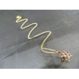 9ct yellow gold daisy-style pendant on 9ct gold chain