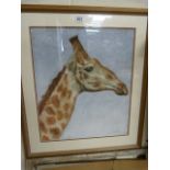 Pastel of a giraffe signed C.J.R 2006 bottom right