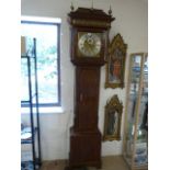 Oak Longcase clock by Sandiford of Manchester. Hood with glazed door is flanked by pilasters leading