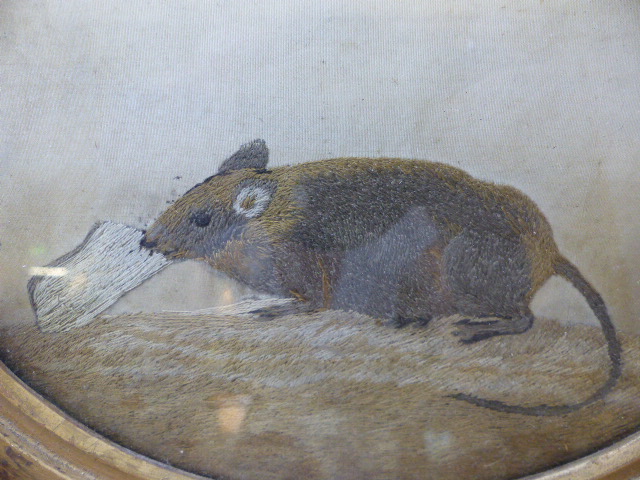 Unusual Silk on silk of a mouse eating. C.1820 - Image 2 of 5