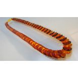 Single Graduated string of disc-shaped Baltic Amber (tested) beads in various shades of brown/