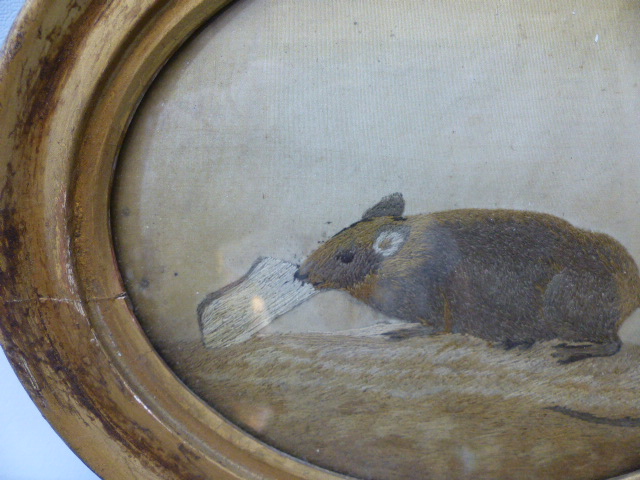 Unusual Silk on silk of a mouse eating. C.1820 - Image 3 of 5