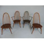 Four Ercol Quaker chairs with spindle backs including two carvers