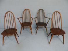 Four Ercol Quaker chairs with spindle backs including two carvers