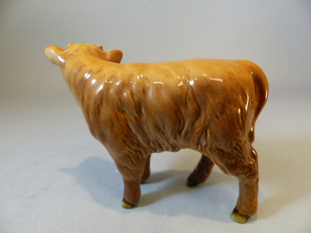 China highland cattle - Beswick highland calf, unmarked highland cow and a Hereford Red money bank - Image 7 of 8