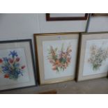 Three Watercolour studies all signed to lower left by Siriol Sherlock