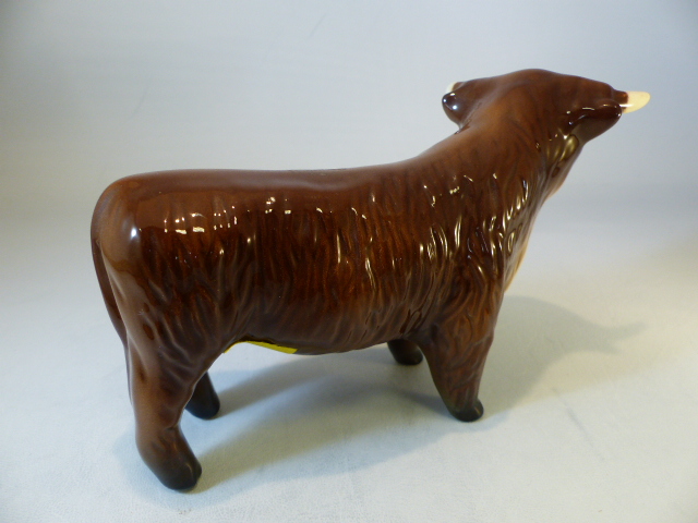 China highland cattle - Beswick highland calf, unmarked highland cow and a Hereford Red money bank - Image 3 of 8