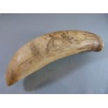 Scrimshaw Whales tooth of small form. Double sided decoration depicting a whale overthrowing a small