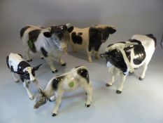 Selection of Friesian cows - to include Vaga international Cow and Calf, Melba Ware Bull and calf
