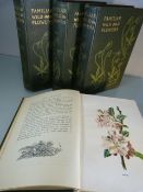 Familiar Wild Flowers - Four Volumes - with eighty coloured plates in each