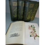 Familiar Wild Flowers - Four Volumes - with eighty coloured plates in each