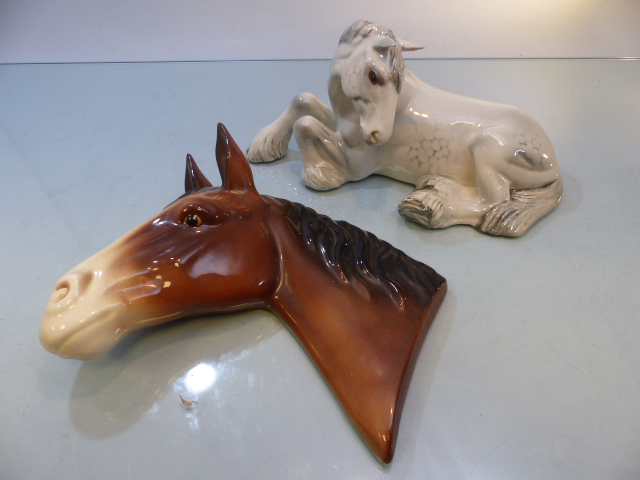 Dapple Gray Beswick horse laying down - Shire Horse with two front feet up, along with an unmarked