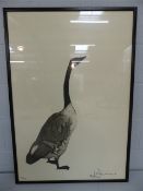 Black and White Goose print no 103/150