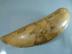 19th Century Whale Scrimshaw tooth depicting Brig Diana whaling ship. One Side shows her at Sea