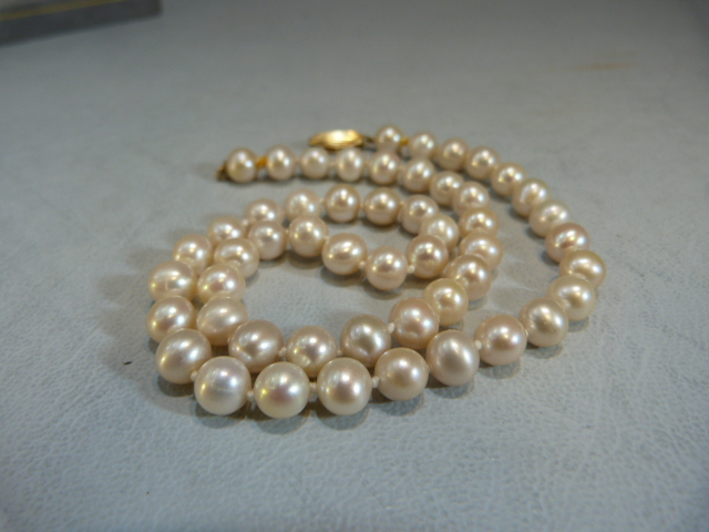 String of white pearls with 9ct Gold clasp in presentation case - Image 3 of 5