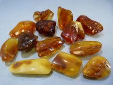 Bag of 13 rough pieces of Genuine Baltic Amber, one or two stones have small winged insects