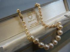 String of white pearls with 9ct Gold clasp in presentation case