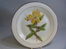 19th Century Botanical plate impressed Davenport to underside and painted title St Johns Wort in red