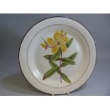 19th Century Botanical plate impressed Davenport to underside and painted title St Johns Wort in red