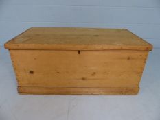 Antique pine trunk