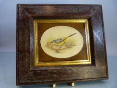 19th Century Watercolour of a bird on an oval panel set in velvet, in an oak frame 20cm x 18cm