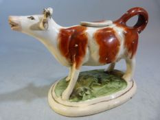 Early 19th century Staffordshire creamware cow creamer. Red painted cow with gilded horns on a green