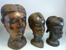 Carved hardwood African busts - Three busts to include a large example and two smaller