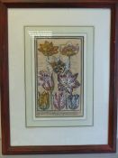 Botanical Lithograph cutting from a book. Depicting tulip flowers, framed and glazed