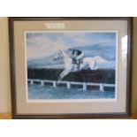 Desert Orchid 'Gold' - Limited edition print by Maxine Cox no. 739/2500