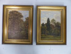 Two Antique oil studies on canvas - both unsigned of Woodland Scenes.