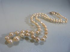 Graduated cultured pearl necklace with 14ct yellow gold clasp