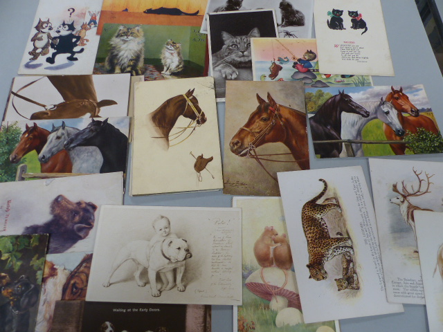 Selection of Postcards depicting Animals (Victorian and Before)