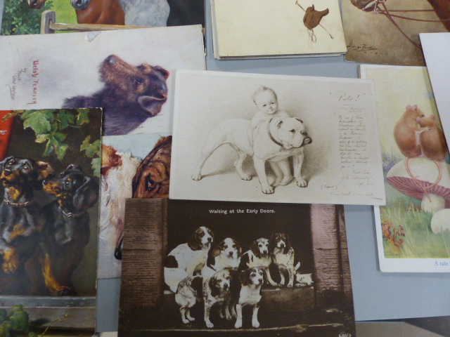 Selection of Postcards depicting Animals (Victorian and Before) - Image 2 of 5