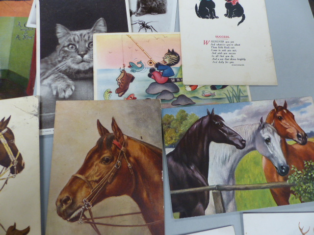 Selection of Postcards depicting Animals (Victorian and Before) - Image 4 of 5
