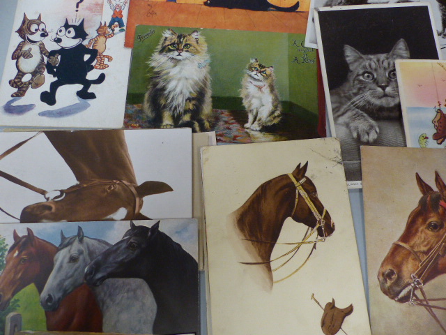 Selection of Postcards depicting Animals (Victorian and Before) - Image 3 of 5
