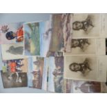 Collection of Postcards relating to the War (C.WW1)