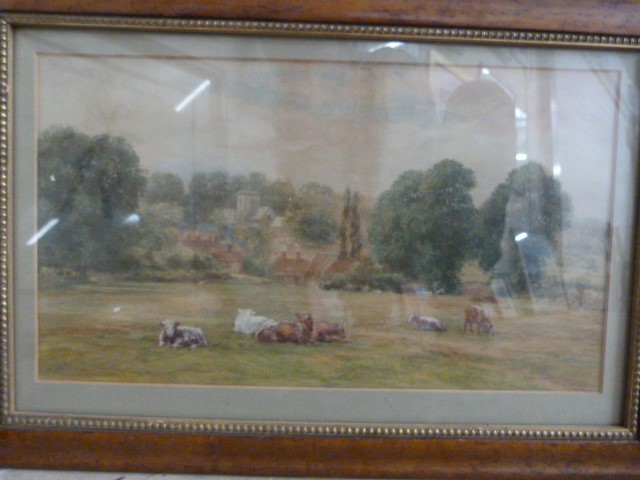 Antique Watercolour of Cattle in field upon a hillside. Signature indistinct W Isbell? Mounted in - Image 2 of 4