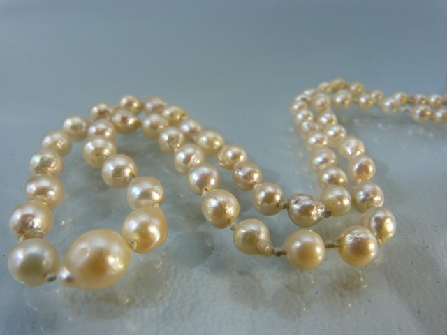 Cultured Pearl necklace with Graduating beads and a 14k gold clasp. - Image 7 of 7