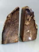 Natural History - Fossilised wood sections in the form of bookends. Petrified, cut and Polished.