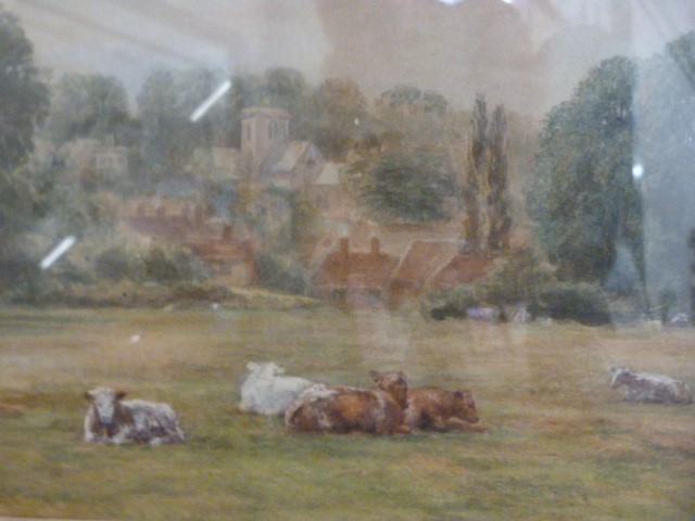 Antique Watercolour of Cattle in field upon a hillside. Signature indistinct W Isbell? Mounted in - Image 3 of 4