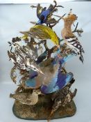 Taxidermy - European birds on stand - containing seven birds. To include Birds such a Hoopoe and