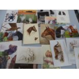 Selection of Postcards depicting Animals (Victorian and Before)
