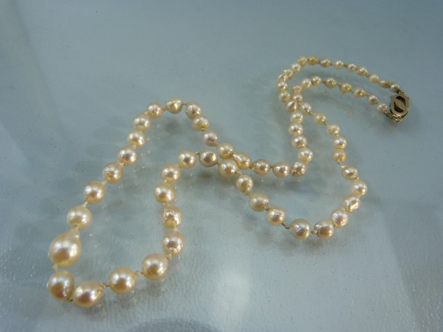 Cultured Pearl necklace with Graduating beads and a 14k gold clasp. - Image 2 of 7