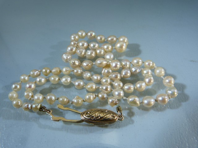 Cultured Pearl necklace with Graduating beads and a 14k gold clasp. - Image 5 of 7